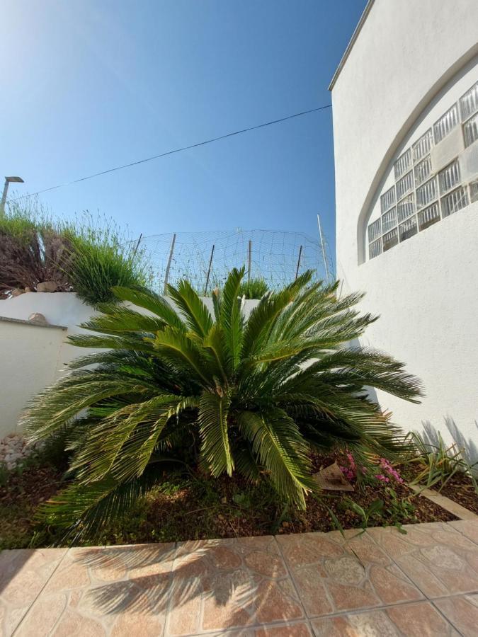 נובליה Apartments Markulincic מראה חיצוני תמונה