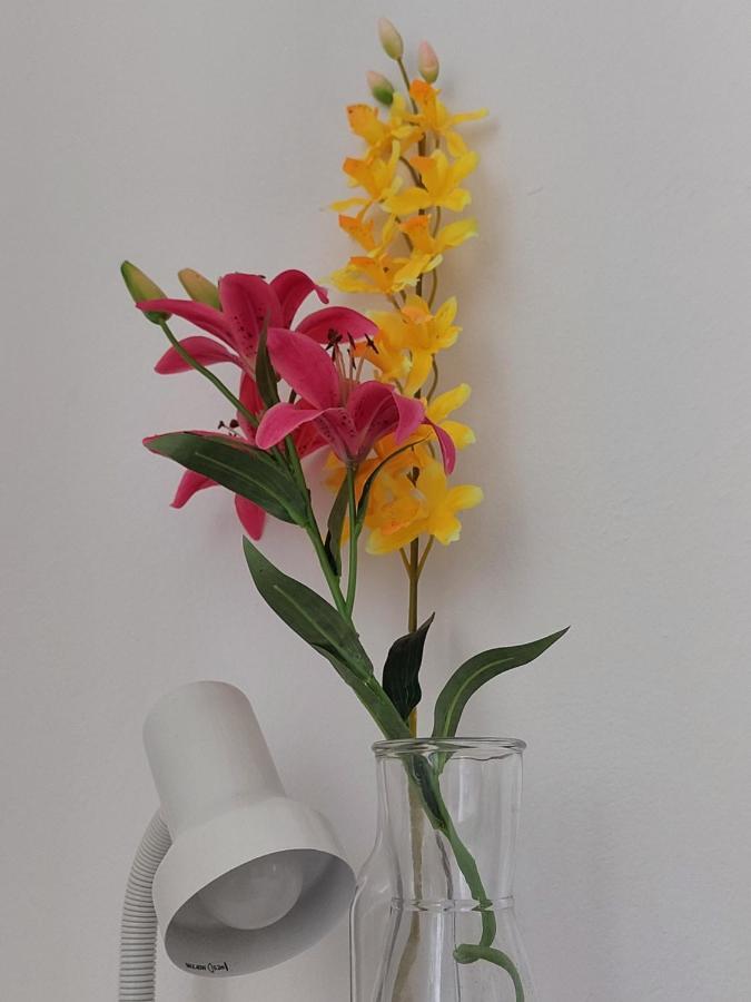 נובליה Apartments Markulincic מראה חיצוני תמונה
